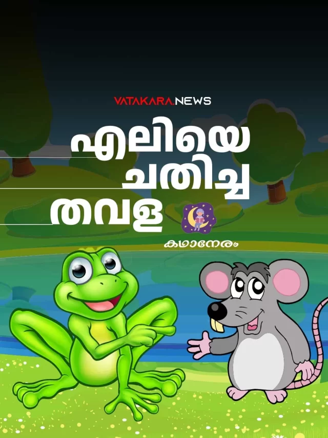 എലിയെ ചതിച്ച തവള | Mouse and Frog | Children Story