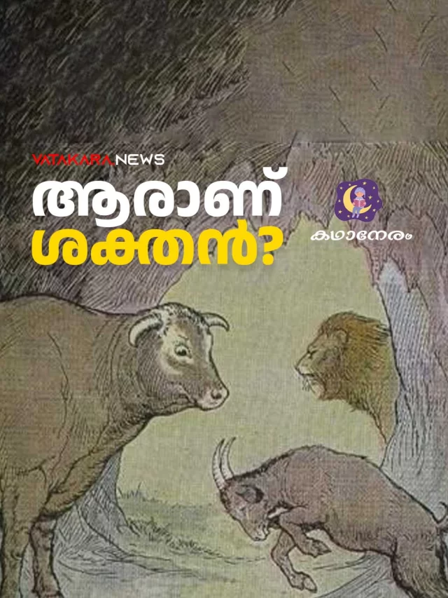ആരാണ് ശക്തന്‍ | Bull and Goats | Kathaneram